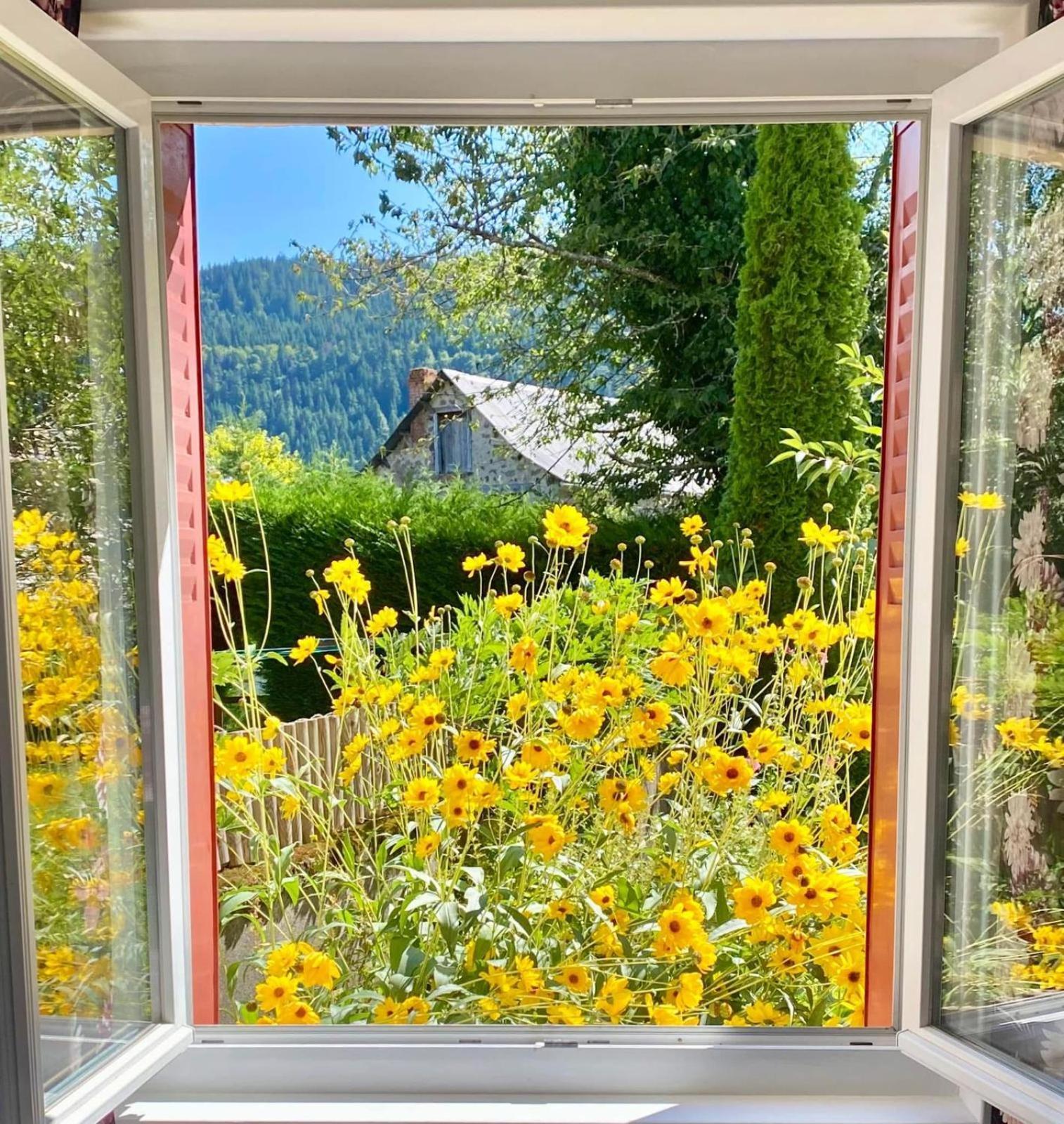 Hotel Restaurant Du Plomb Du Cantal 뮈라 외부 사진